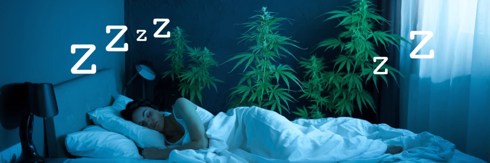 Image illustrant les bienfaits du CBD sur le sommeil, avec des éléments visuels comme une personne endormie paisiblement dans un lit et des plantes de chanvre en arrière-plan pour renforcer le message.