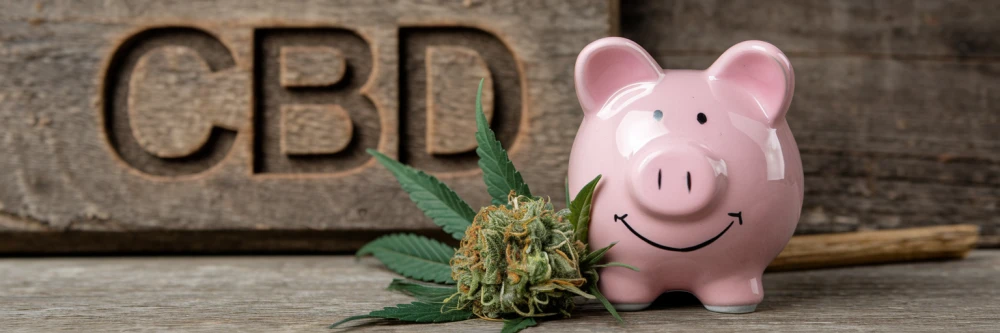 Photo d'une tirelire en forme de cochon souriant, accompagnée d'une fleur de CBD, symbolisant l'équilibre entre le coût et la qualité des produits CBD, tout en renforçant la notion de valeur et de sécurité.