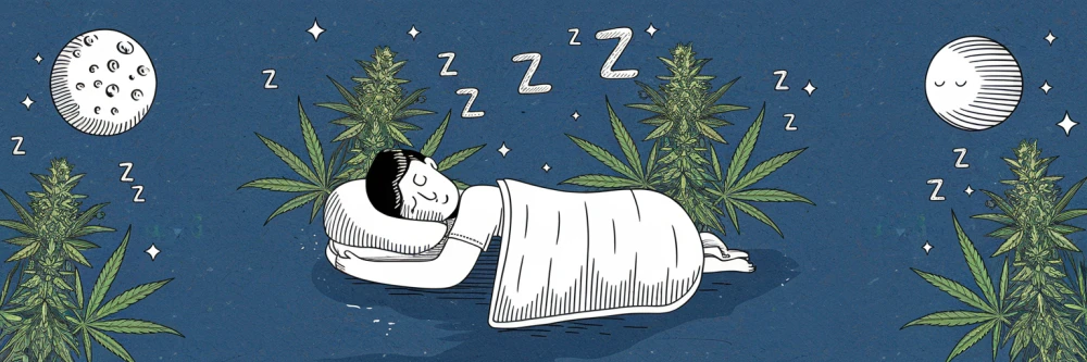 Illustration captivante montrant une personne dormant paisiblement, entourée d'éléments évoquant la relaxation, comme des plantes de chanvre et une lune, pour souligner les bienfaits anxiolytiques et anti-inflammatoires du CBD.