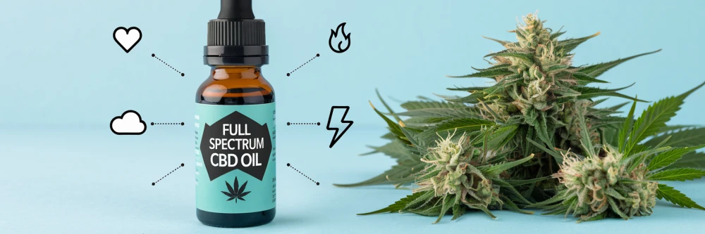 bouteille d'huile de CBD avec une étiquette indiquant « Huile de CBD à spectre complet ». Il y a des fleurs de cannabis sur le côté droit. Il y a des icônes représentant un cœur, un nuage, un éclair et un feu.