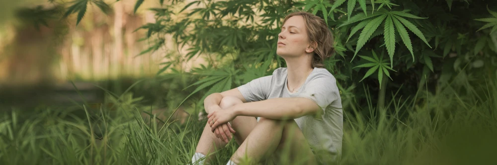 femme apaisé entouré de fleurs de cannabis