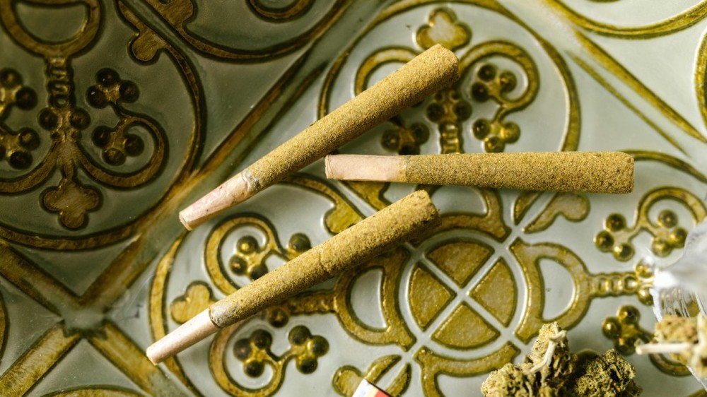  5 erreurs à éviter quand on consomme de la fleur de CBD 
